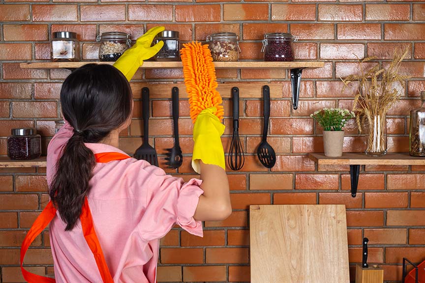 Domestic Worker